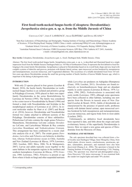 First Fossil Tooth-Necked Fungus Beetle (Coleoptera: Derodontidae): Juropeltastica Sinica Gen