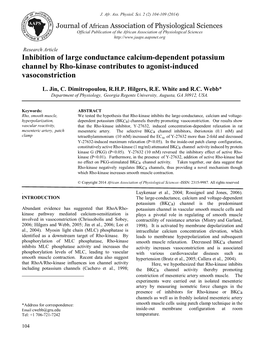 Inhibition of Large Conductance Calcium-Dependent Potassium Channel by Rho-Kinase Contributes to Agonist-Induced Vasoconstriction