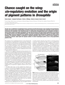 Cis-Regulatory Evolution and the Origin of Pigment Patterns in Drosophila