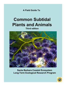 Common Subtidal Plants and Animals Third Edition