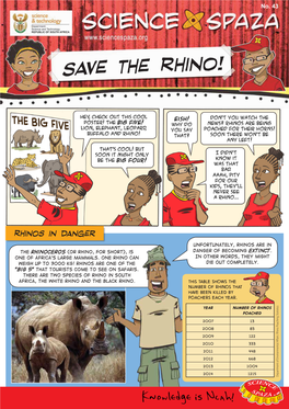 Save the Rhino!