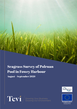 Seagrass Survey of Polruan Pool in Fowey Harbour August – September 2020