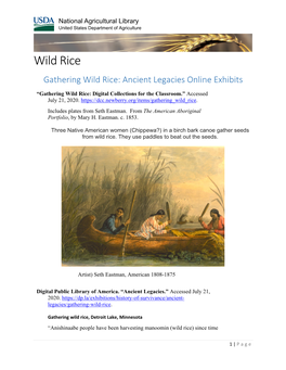 Wild Rice Gathering Wild Rice: Ancient Legacies Online Exhibits