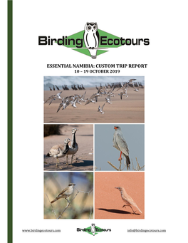 Essential Namibia: Custom Trip Report 10 – 19 October 2019