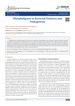 Phospholipases in Bacterial Virulence and Pathogenesis