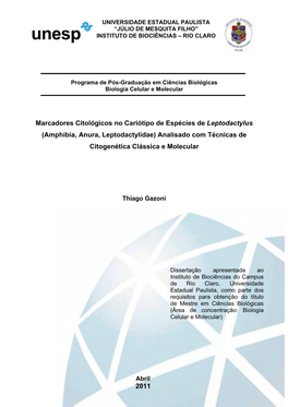 Marcadores Citológicos No Cariótipo De Espécies De Leptodactylus (Amphibia, Anura, Leptodactylidae) Analisado Com Técnicas De Citogenética Clássica E Molecular