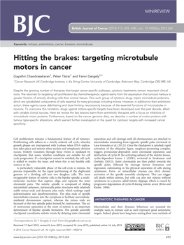Targeting Microtubule Motors in Cancer