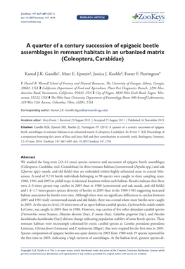 A Quarter of a Century Succession of Epigaeic Beetle Assemblages in Remnant Habitats in an Urbanized Matrix (Coleoptera, Carabidae)