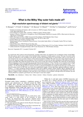 What Is the Milky Way Outer Halo Made Of? High Resolution Spectroscopy of Distant Red Giants?,??,???,????