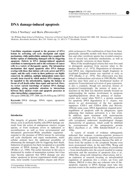 DNA Damage-Induced Apoptosis