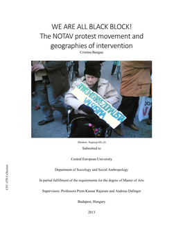 The NOTAV Protest Movement and Geographies of Intervention