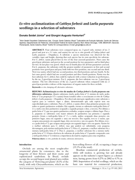 Ex Vitro Acclimatization of Cattleya Forbesii and Laelia Purpurata Seedlings in a Selection of Substrates