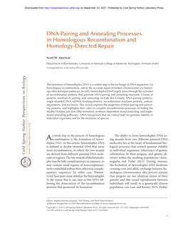 DNA-Pairing and Annealing Processes in Homologous Recombination and Homology-Directed Repair