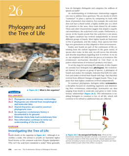 Phylogeny and the Tree of Life 537 That Pines and ﬁrs Are Different Enough to Be Placed in Sepa- History