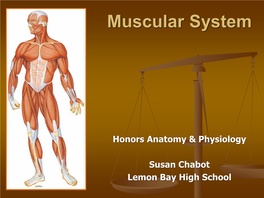 Diseases of the Muscular System