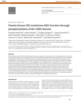 Protein Kinase CK2 Modulates HSJ1 Function Through Phosphorylation Of