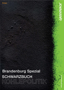 Schwarzbuch Kohlepolitik | Greenpeace