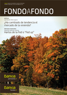 ¿Ha Cambiado De Tendencia El Mercado De La Vivienda? Hartos De La Fed O “Fed