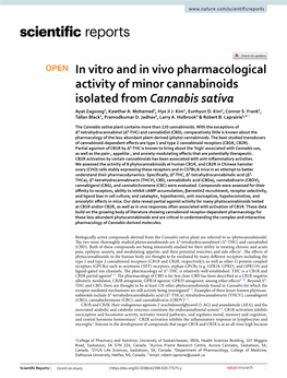 In Vitro and in Vivo Pharmacological Activity of Minor Cannabinoids Isolated from Cannabis Sativa Ayat Zagzoog1, Kawthar A