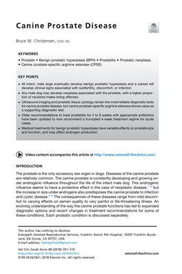 Canine Prostate Disease