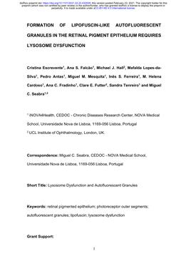 Formation of Lipofuscin-Like Autofluorescent Granules