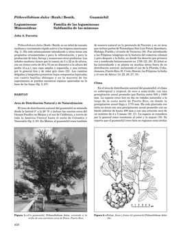 Pithecellobium Dulce (Roxb.) Benth. Guamúchil Leguminosae Familia