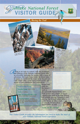 Fishlake National Forest Offer What’S Inside an Accessible Landscape for Anyone with a Sense of R Get to Know Us