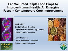 Can We Breed Staple Food Crops to Improve Human Health: an Emerging Facet in Contemporary Crop Improvement