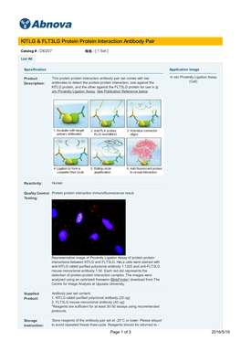 KITLG & FLT3LG Protein Protein Interaction Antibody Pair
