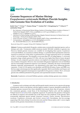 Genome Sequences of Marine Shrimp Exopalaemon Carinicauda Holthuis Provide Insights Into Genome Size Evolution of Caridea