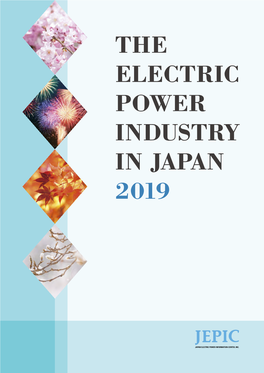 The Electric Power Industry in Japan 2019