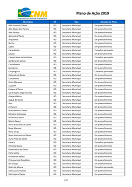 Plano De Ação 2019
