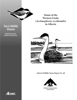 Status of the Western Grebe (Aechmophorus Occidentalis) in Alberta