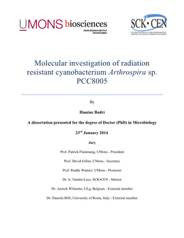 Molecular Investigation of Radiation Resistant Cyanobacterium Arthrospira Sp