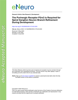 The Purinergic Receptor P2rx3 Is Required for Spiral Ganglion Neuron Branch Refinement During Development