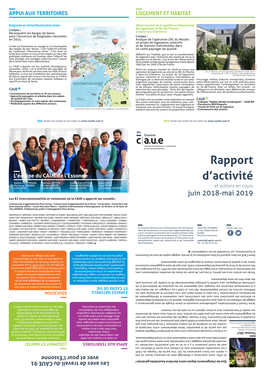 Rapport D'activité