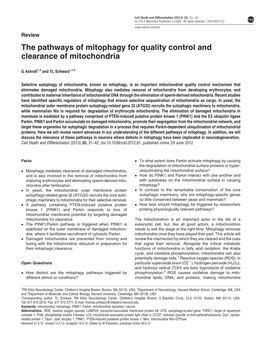 The Pathways of Mitophagy for Quality Control and Clearance of Mitochondria