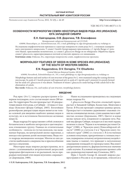 Особенности Морфологии Семян Некоторых Видов Рода Iris (Iridaceae) Юга Западной Сибири Е.Н