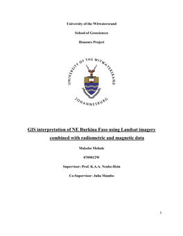 GIS Interpretation of NE Burkina Faso Using Landsat Imagery Combined with Radiometric and Magnetic Data