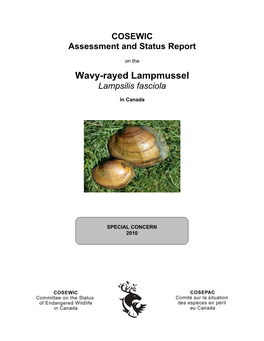 Wavy-Rayed Lampmussel (Lampsilis Fasciola) in Canada in 1999 a Large Number of Monitoring, Research and Management Projects Have Occurred