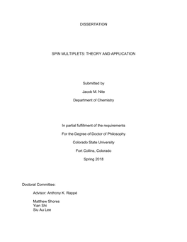 Dissertation Spin Multiplets: Theory and Application