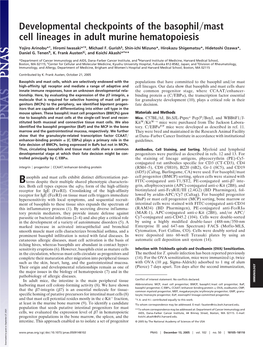 Developmental Checkpoints of the Basophil Mast Cell Lineages in Adult Murine Hematopoiesis