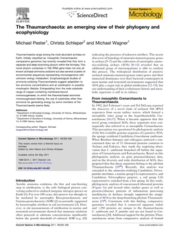 The Thaumarchaeota: an Emerging View of Their Phylogeny and Ecophysiology