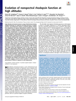 Evolution of Nonspectral Rhodopsin Function at High Altitudes