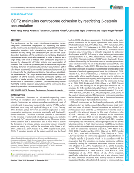 ODF2 Maintains Centrosome Cohesion by Restricting Β-Catenin Accumulation