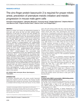 The Zinc-Finger Protein Basonuclin 2 Is Required for Proper Mitotic Arrest, Prevention of Premature Meiotic Initiation and Meiot