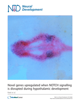 Novel Genes Upregulated When NOTCH Signalling Is Disrupted During Hypothalamic Development Ratié Et Al