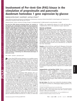 (PAS) Kinase in the Stimulation of Preproinsulin and Pancreatic Duodenum Homeobox 1 Gene Expression by Glucose