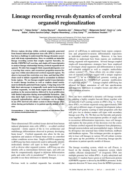 Lineage Recording Reveals Dynamics of Cerebral Organoid Regionalization