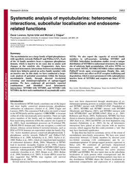 Heteromeric Interactions, Subcellular Localisation and Endosome- Related Functions